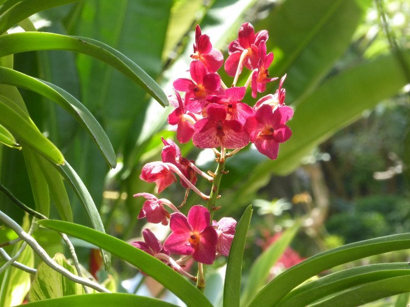 Singapur 2017 568
